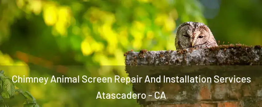  Chimney Animal Screen Repair And Installation Services Atascadero - CA