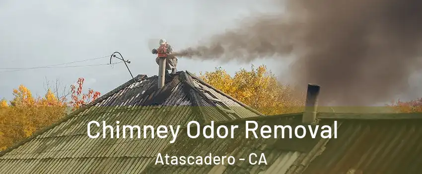  Chimney Odor Removal Atascadero - CA