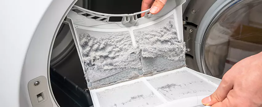 Best Dryer Lint Removal Company in Atascadero, California