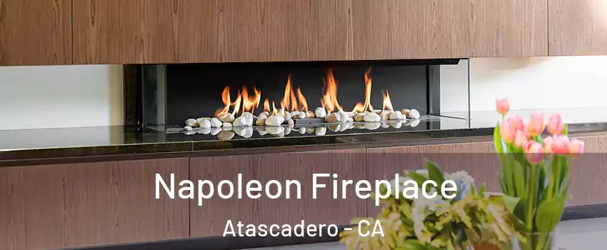  Napoleon Fireplace Atascadero - CA